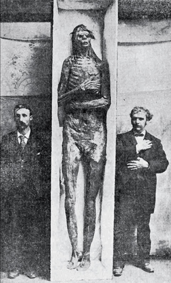 giant human remains